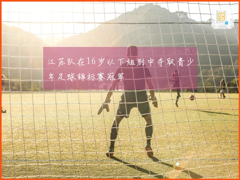 江苏队在16岁以下组别中夺取青少年足球锦标赛冠军