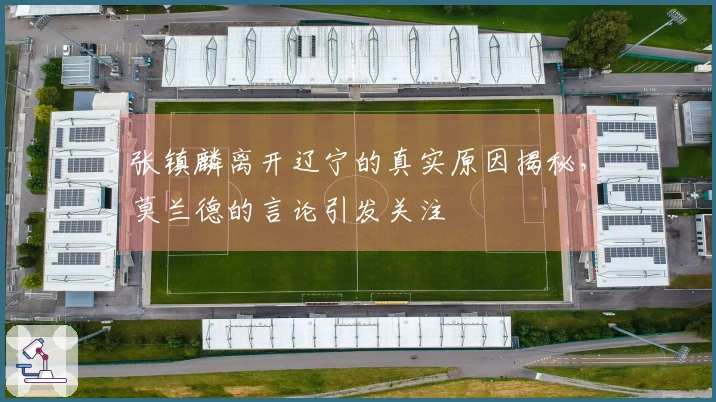 张镇麟离开辽宁的真实原因揭秘，莫兰德的言论引发关注